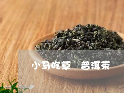 小马吃草 普洱茶/2023041075915